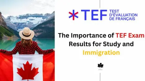 The Importance of TEF Exam Results for Study and Immigration