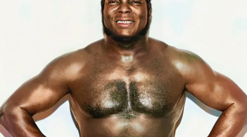 Bobo Brazil Net Worth A Legendary Wrestler's Earnings