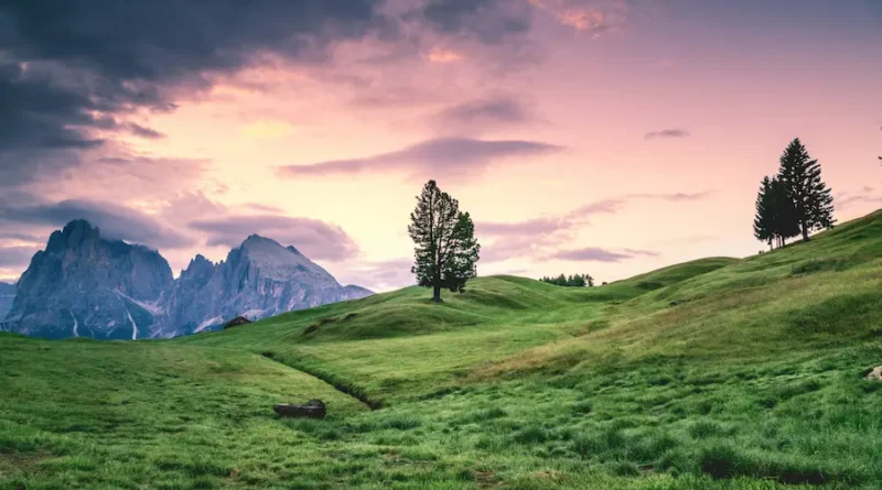 natural wallpaper is a smart choice for your home