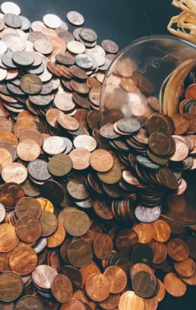 Potential Income Streams