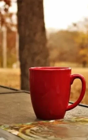 Making Caffeine Pouches Work In A Hectic Morning