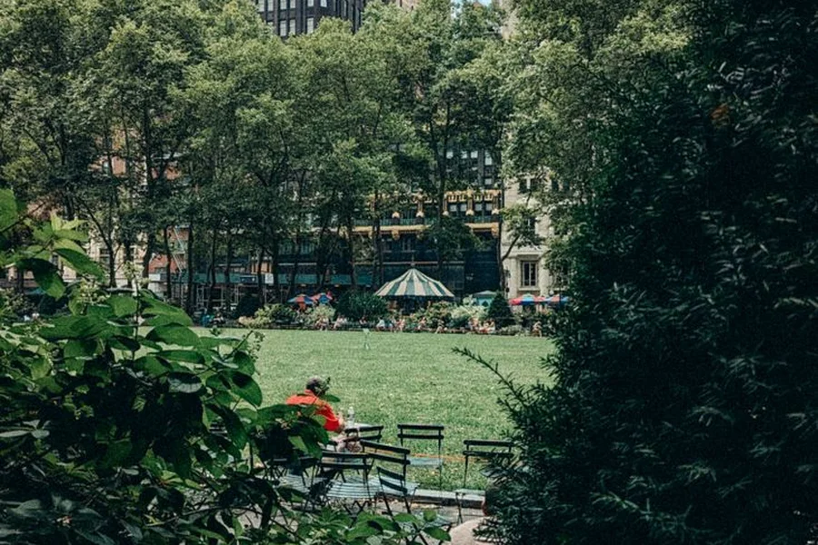 Bryant Park Aerial View bryant park new york city aerial view